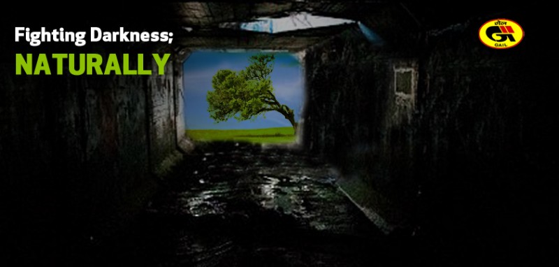 GAIL_voice_10_10_2013