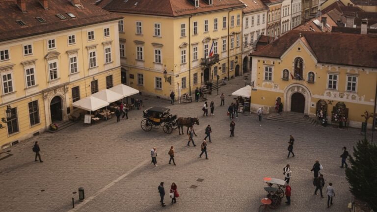 маријин трг