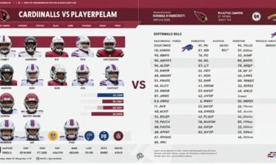 arizona cardinals vs buffalo bills match player stats