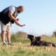 A Complete Guide to Using GPS Trackers for Hunting Dogs