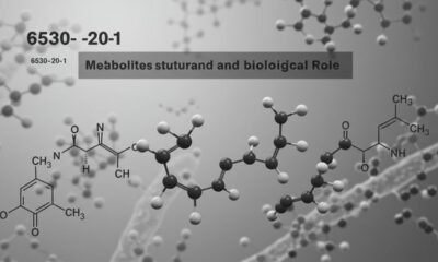 6530-20-1 metabolites
