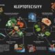 kleptotoxicity