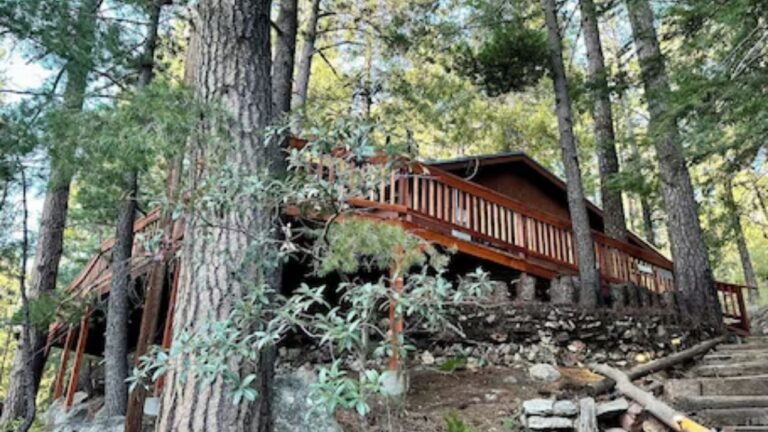 Mt. Lemmon Cabins