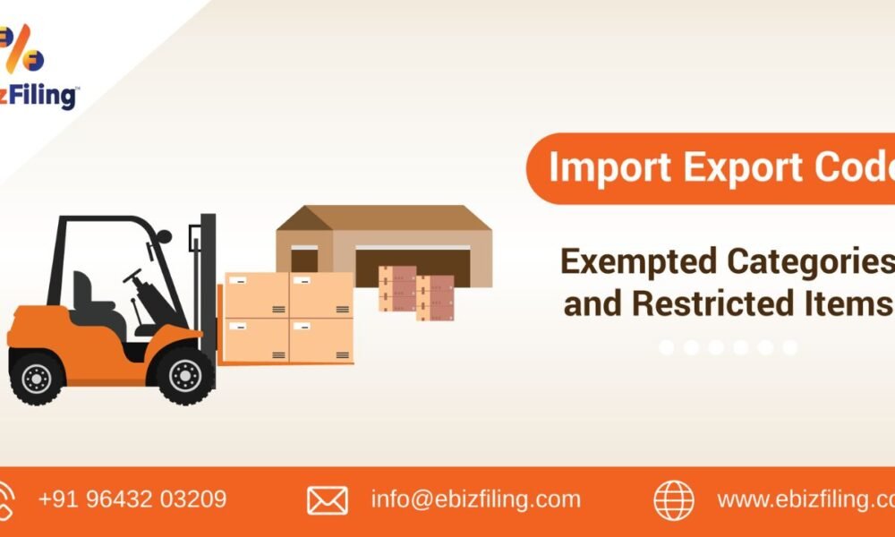 Top 10 Items You Cannot Ship from India