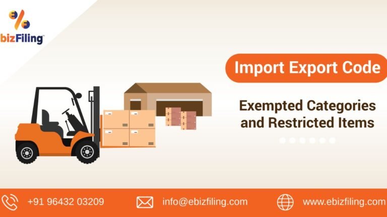 Top 10 Items You Cannot Ship from India