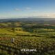 Wealapa