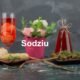 The Rich History and Culture of Sodziu What You Need to Know