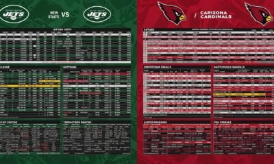 new york jets vs arizona cardinals match player stats