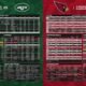 new york jets vs arizona cardinals match player stats