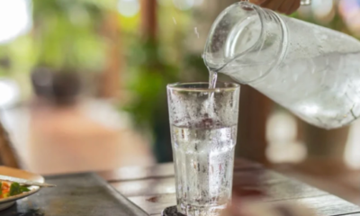 Water Filtration System