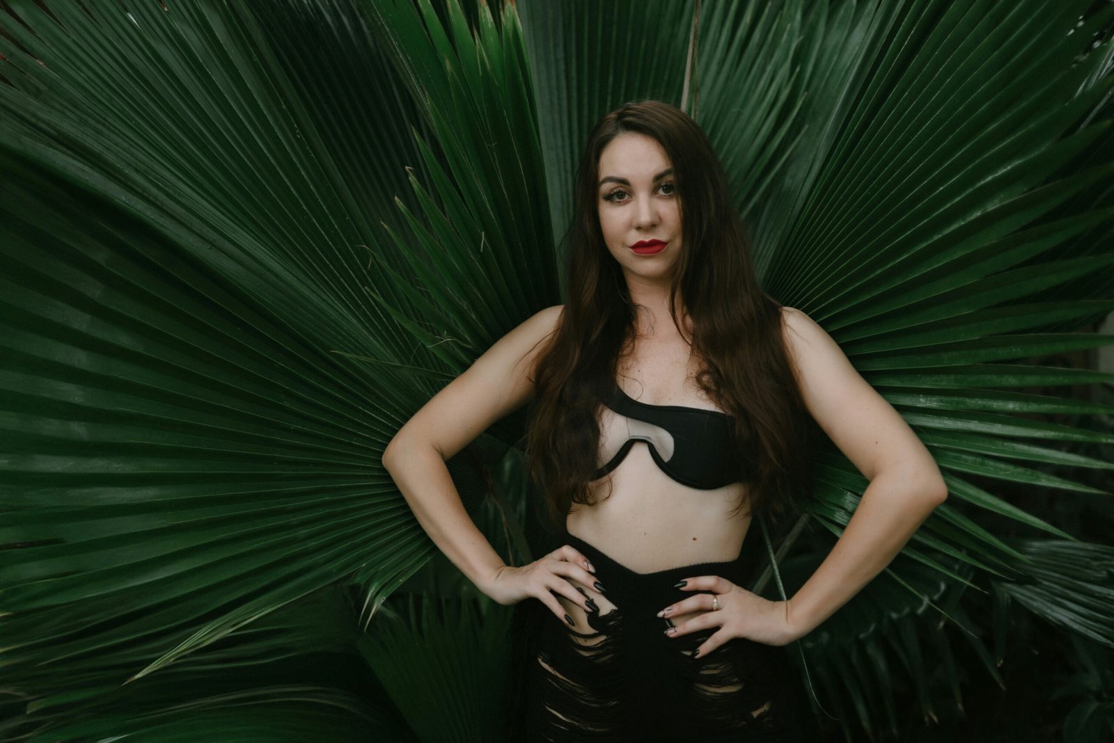 vanessa-casino.com 8002662278