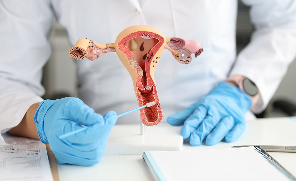 Treatments like vaginal tightening in Utah have gained attention as more clinics offer modern, minimally invasive solutions tailored to individual needs.