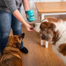 Does Your Dog Actually Need an Omega-3 Supplement? Here’s What to Know