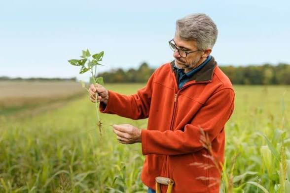 Cutting Farm Costs With Concentrated Plant-Based Additives